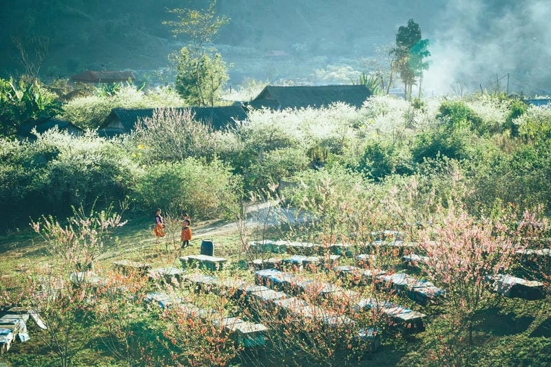 Thiên nhiên Mộc Châu xanh mát, đậm chất núi rừng