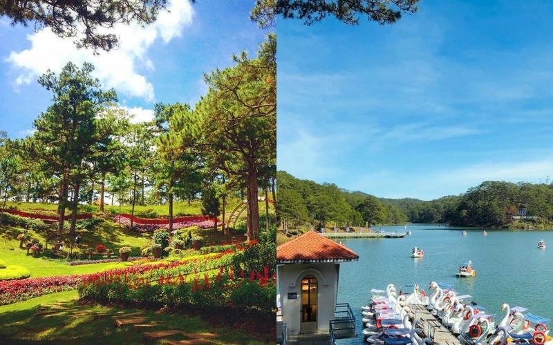 Thung lũng Tình Yêu Đà Lạt ngập tràn sắc hoa