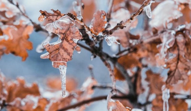 Tham khảo gợi ý lưu trú ấm cúng và tiện nghi khi đến Yên Bái