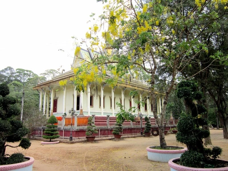 Vẻ đẹp bình dị trong ảnh Trà Vinh đẹp