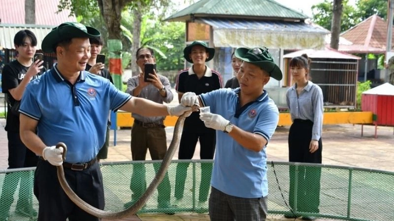 Du lịch Tiền Giang trải nghiệm điểm đến đặc biệt