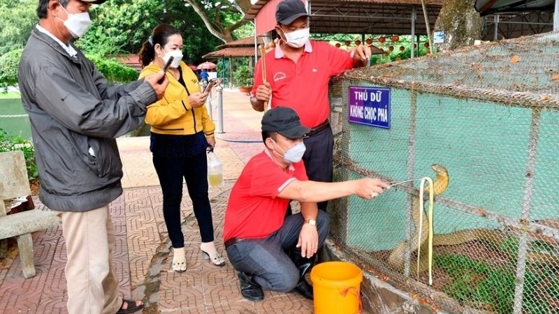 Động vật Trại rắn Đồng Tâm phong phú và quý hiếm
