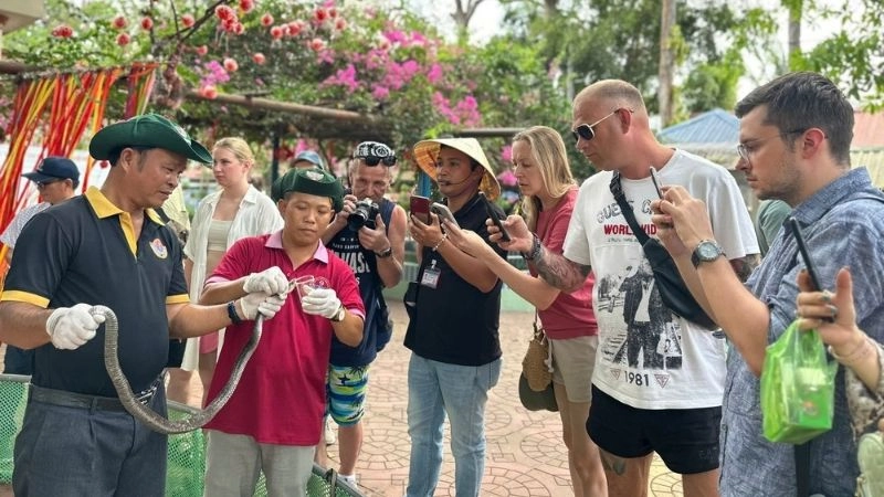 Kinh nghiệm cá nhân khi ghé thăm trại rắn Đồng Tâm