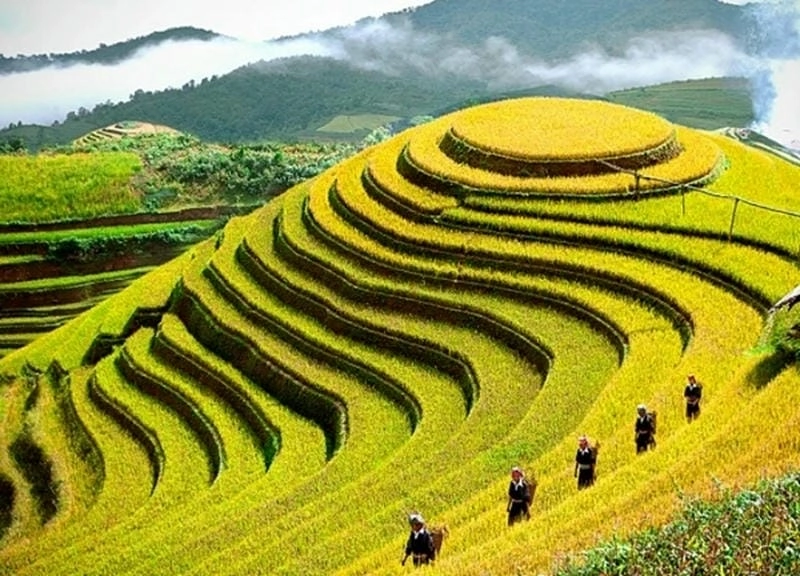 Những lý do khiến Bắc Kạn mùa lúa chín thu hút du khách