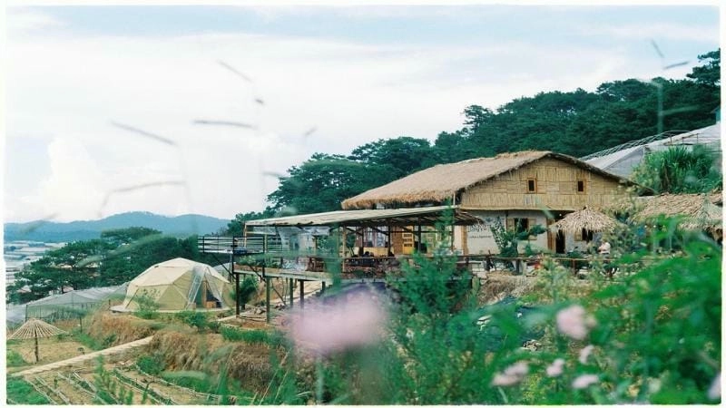 Đón bình minh villa Bảo Lộc tuyệt đẹp tại villa đồi chè Bảo Lộc