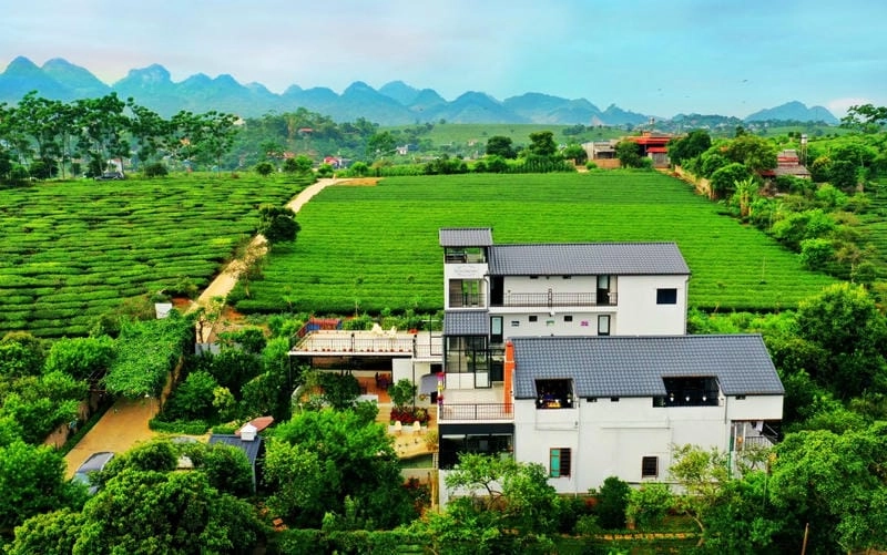 Chiêm ngưỡng kiến trúc độc đáo tại Villa đồi chè Mộc Châu