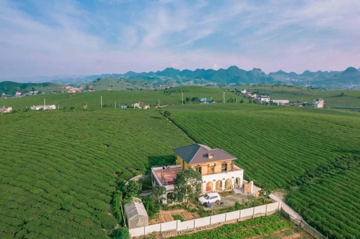 Không gian sân vườn rộng thoáng ở Villa đồi chè Mộc Châu