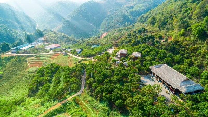 Thưởng thức hoàng hôn lãng mạn ở Villa đồi chè Mộc Châu