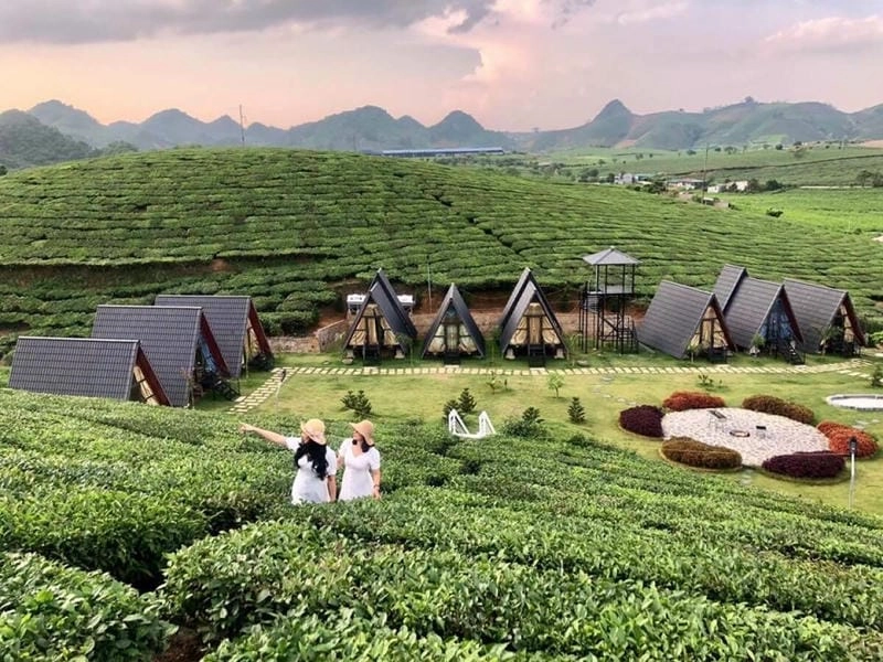 Khung cảnh lung linh huyền ảo của Villa đồi chè Mộc Châu về đêm