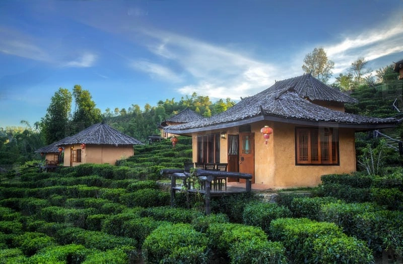 Bộ sưu tập ảnh Villa đồi chè Pleiku hấp dẫn mọi du khách
