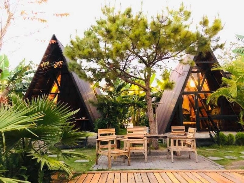 Ngắm sương mù buổi sáng tại Villa đồi chè Pleiku