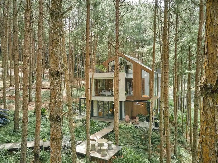 Khám phá Villa đồi thông Đà Lạt với nhiều góc ảnh thơ mộng