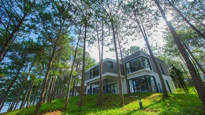 Chiêm ngưỡng vẻ đẹp lung linh về đêm tại Villa đồi thông Đà Lạt