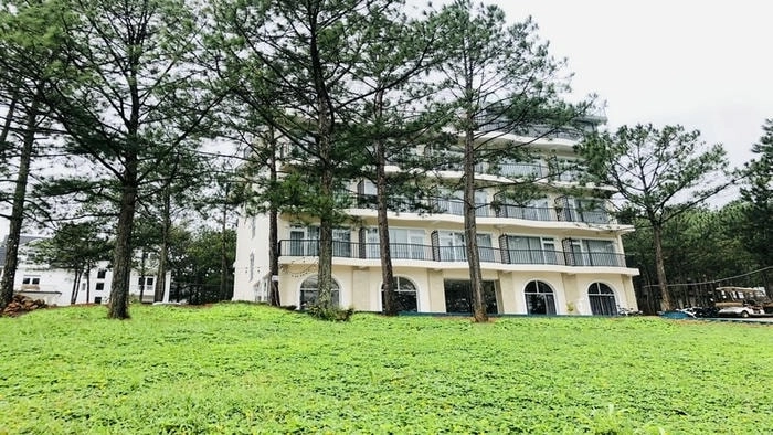 Tận hưởng không khí Đà Lạt thơ mộng tại Villa đồi thông xanh mát