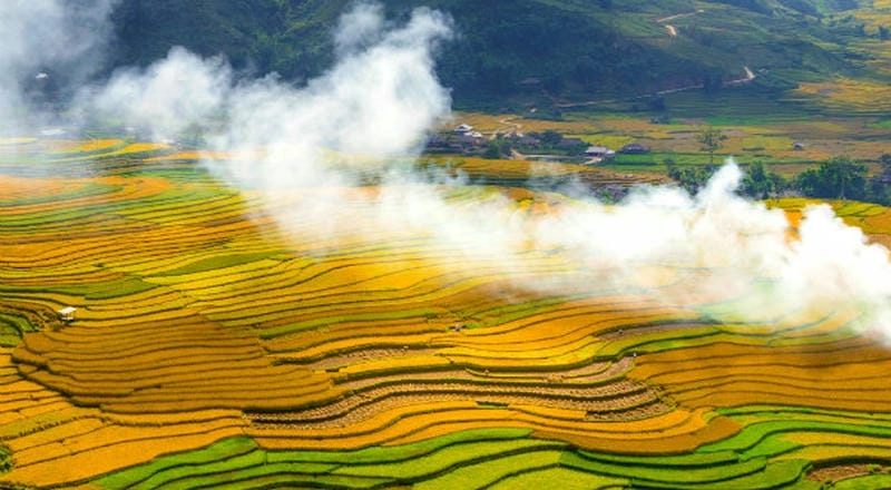 Những lý do khiến ai cũng muốn đến Yên Bái mùa vàng