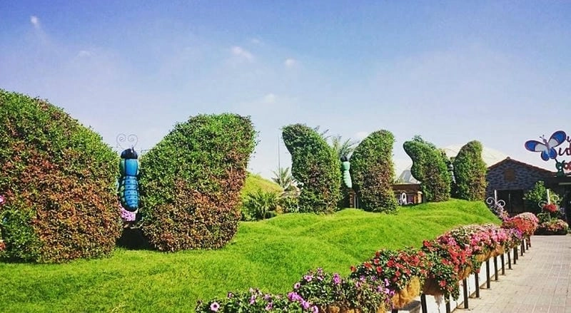 Sức hút của Vườn bướm Dubai với du khách