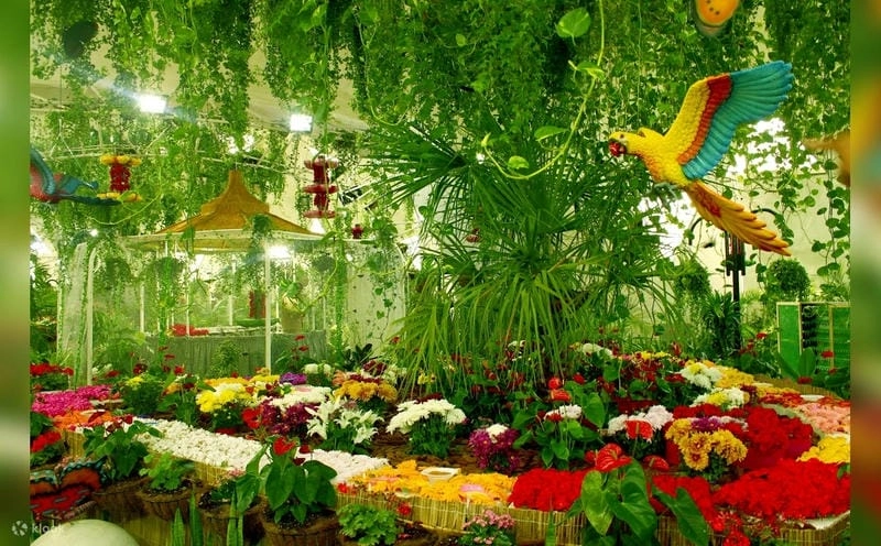 Chụp hình tuyệt đẹp trong Khu vườn bướm Dubai