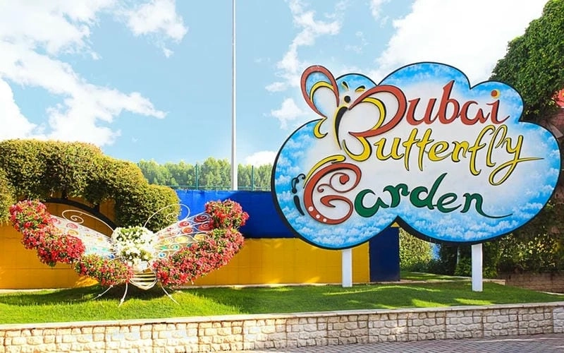 Kinh nghiệm khi tham quan Vườn bướm Dubai