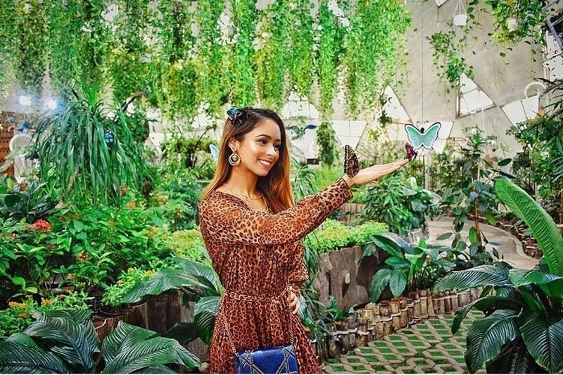 Mua ngay Vé Vườn bướm Dubai để trải nghiệm hấp dẫn