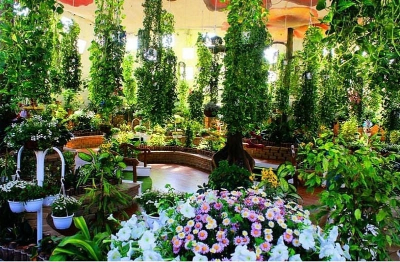 Tìm Địa chỉ Vườn bướm Dubai dễ dàng đến tham quan