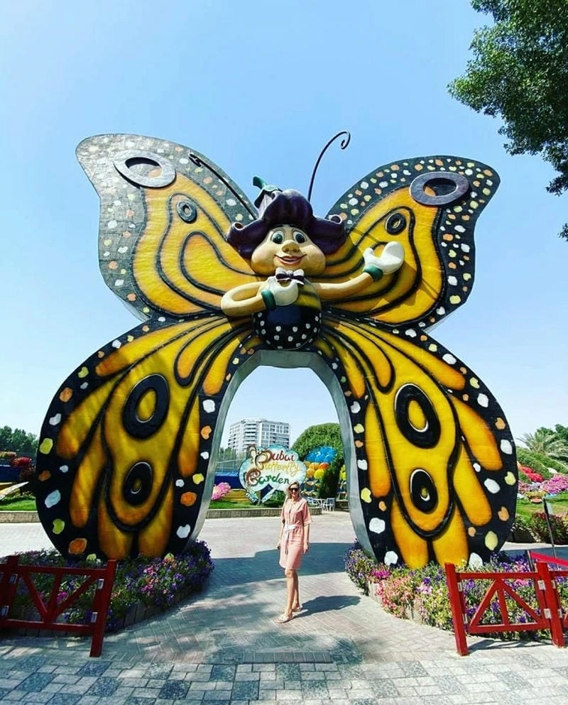 Chụp Ảnh đẹp Vườn bướm Dubai sống động và ấn tượng