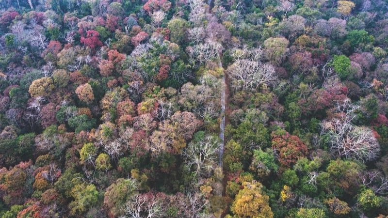 Khám phá Cát Tiên hành trình đầy bất ngờ