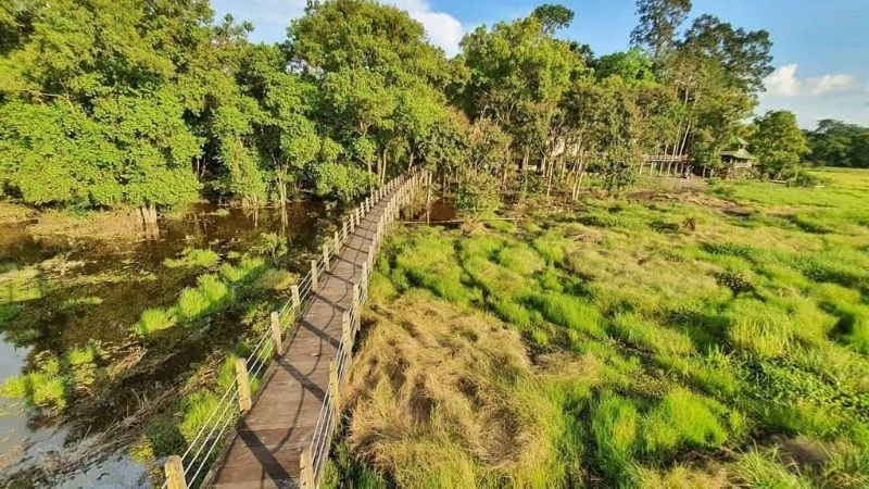 Hệ sinh thái Cát Tiên đa dạng và trù phú