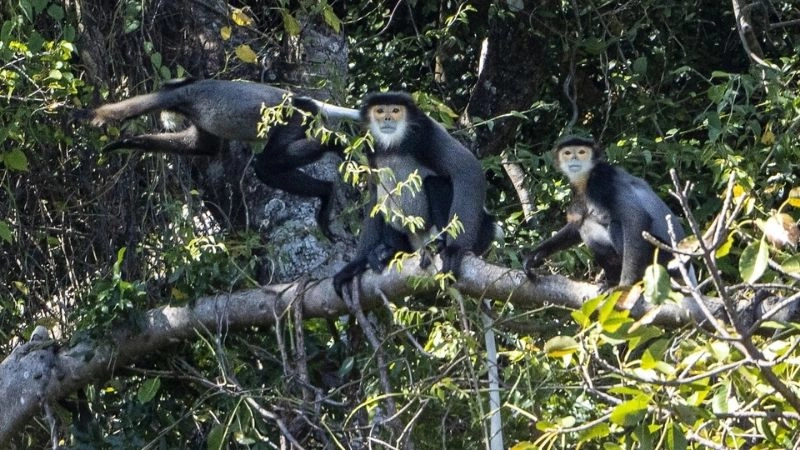 Thiên nhiên Núi Chúa hoang sơ và đầy sức sống