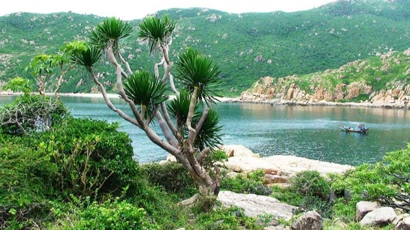 Hệ sinh thái Núi Chúa phong phú và nguyên sơ