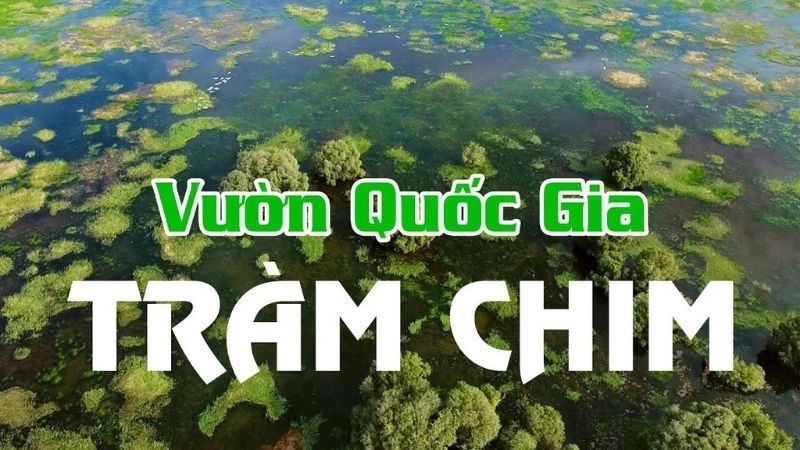 Đôi nét về vườn quốc gia Tràm Chim và vẻ đẹp bí ẩn