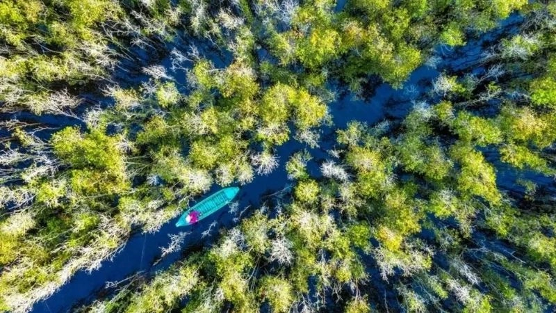 Thời điểm lý tưởng để tham quan vườn quốc gia Tràm Chim