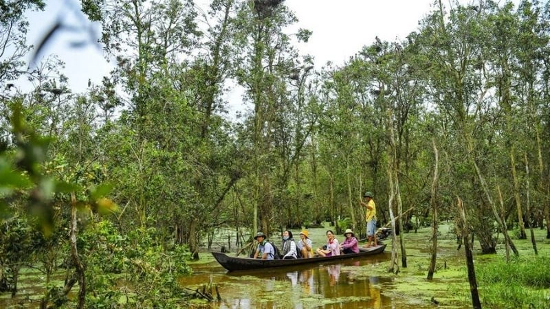 Khám phá Tràm Chim hành trình tìm về thiên nhiên hoang dã