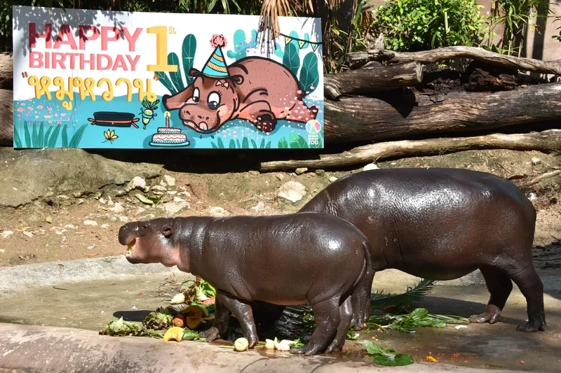 Lịch sử hình thành và phát triển của Vườn thú Khao Kheow