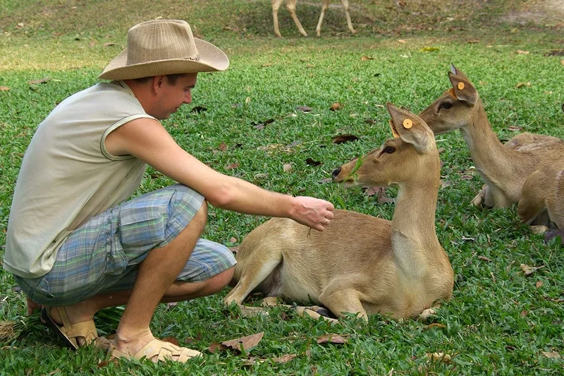 Cùng bé khám phá Vườn thú Khao Kheow sinh động