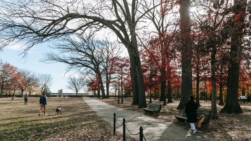 Washington D.C. là nơi hội tụ văn hóa và lịch sử phong phú