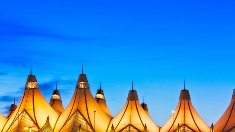 Ý nghĩa biểu tượng và câu chuyện thú vị