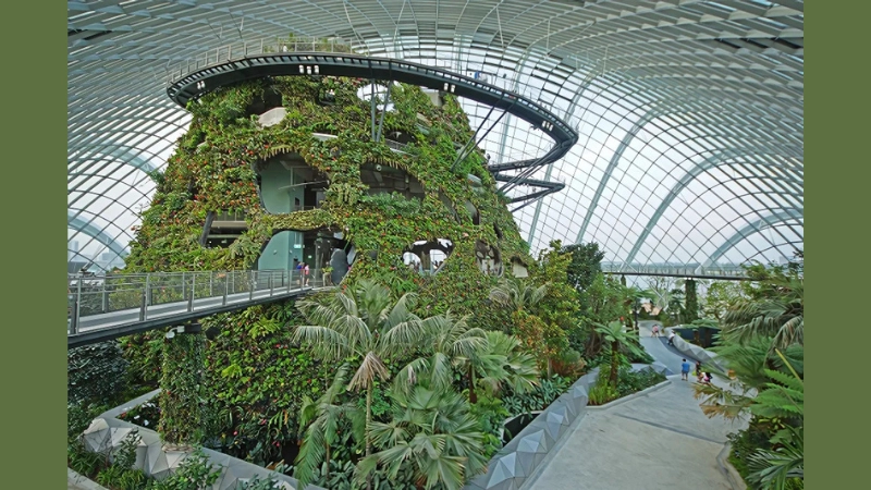 Ý nghĩa và giá trị của Gardens by the Bay đối với Singapore