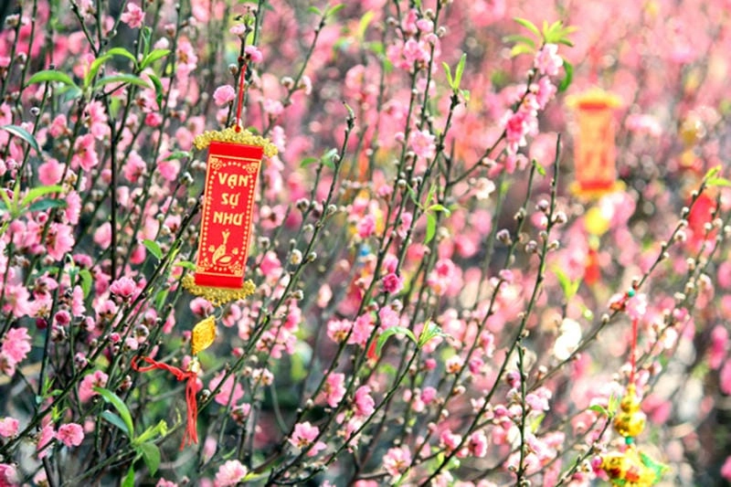 Chạm vào trái tim Hà Nội thơ mộng
