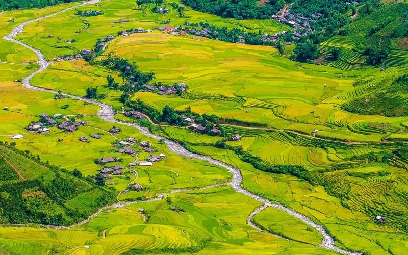 Mùa vàng Yên Bái với khung cảnh thiên nhiên tuyệt đẹp