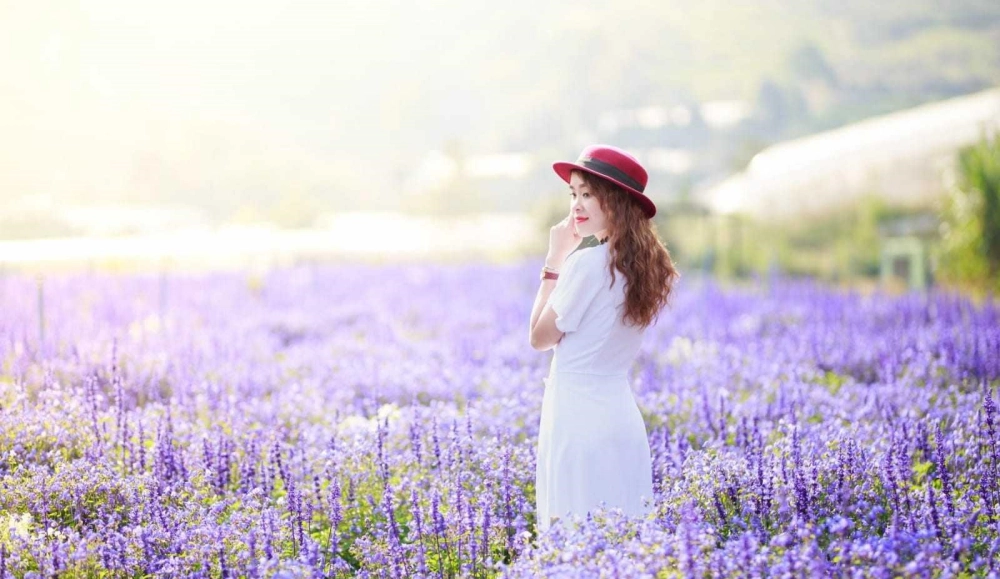 Địa điểm hoa tử đinh hương Đà Lạt thu hút du khách trẻ