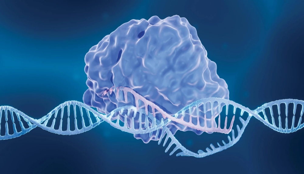 Kỹ thuật chỉnh sửa gene chính xác và mạnh mẽ