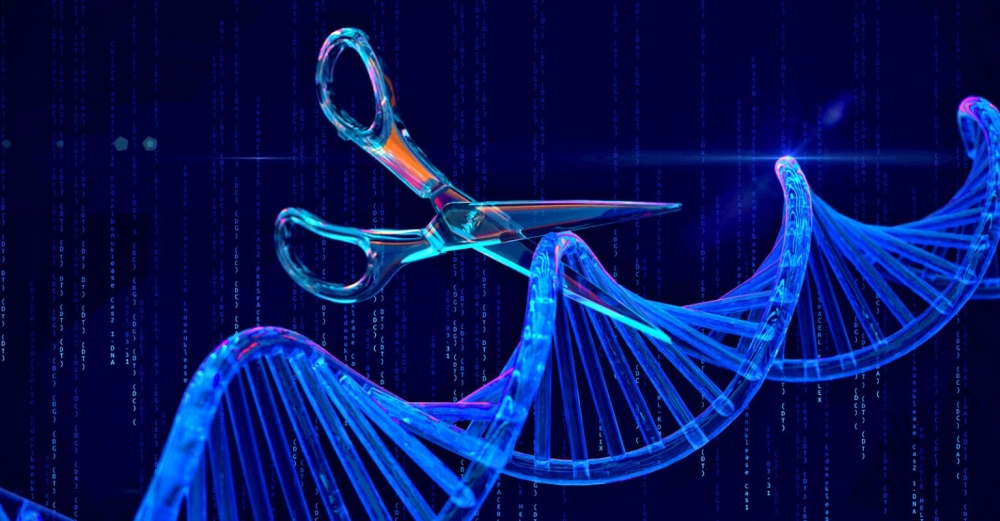 Chỉnh sửa gene di truyền tác động sâu sắc thế hệ