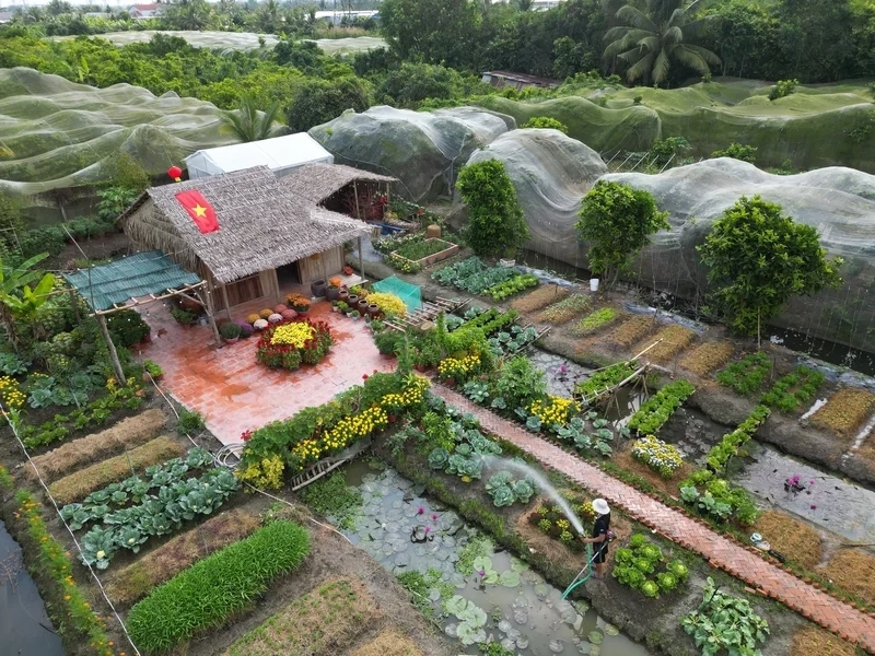 Nhà mái lá là gì miền Tây gắn liền đời sống sông nước