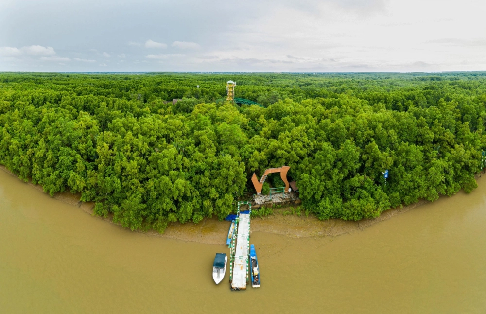 Khu dự trữ sinh quyển Cần Giờ giá trị toàn cầu