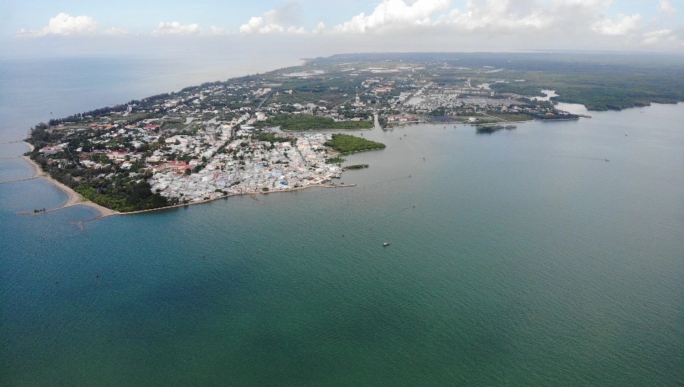 Hệ sinh thái rừng ngập mặn Cần Giờ đa dạng sự sống