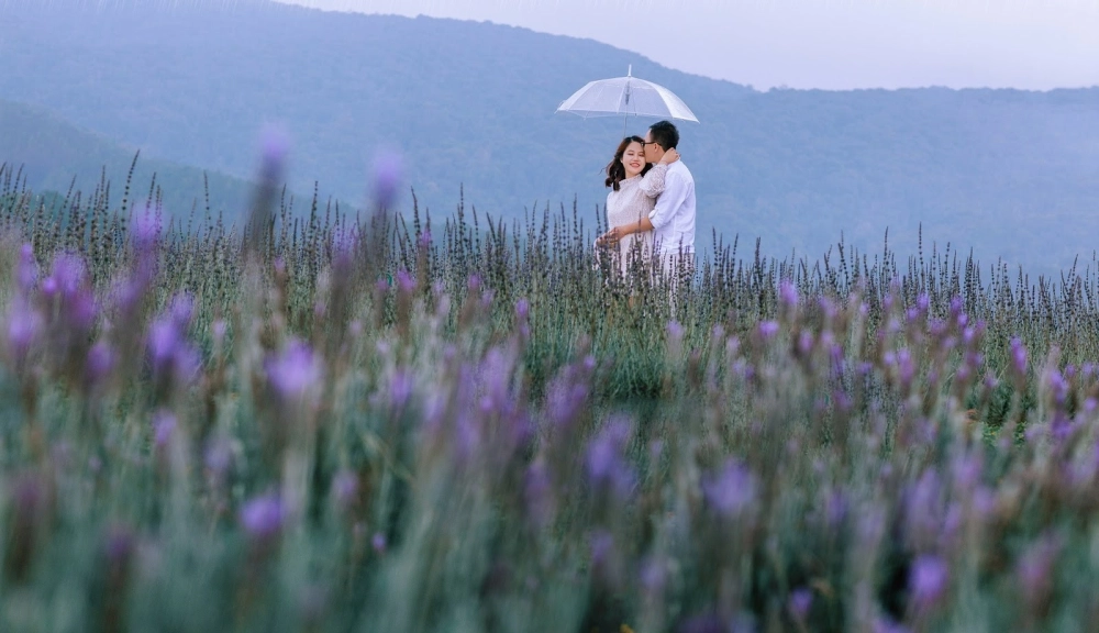 Cảnh đẹp hoa tử đinh hương Đà Lạt làm say lòng người