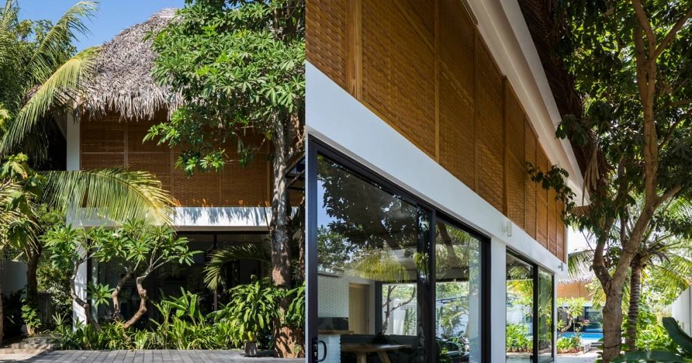 Nhà mái lá quen thuộc miền Tây giữa cảnh quê thanh bình