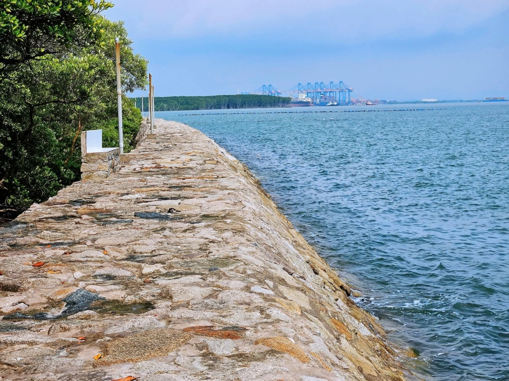 Khám phá rừng ngập mặn Cần Giờ hấp dẫn