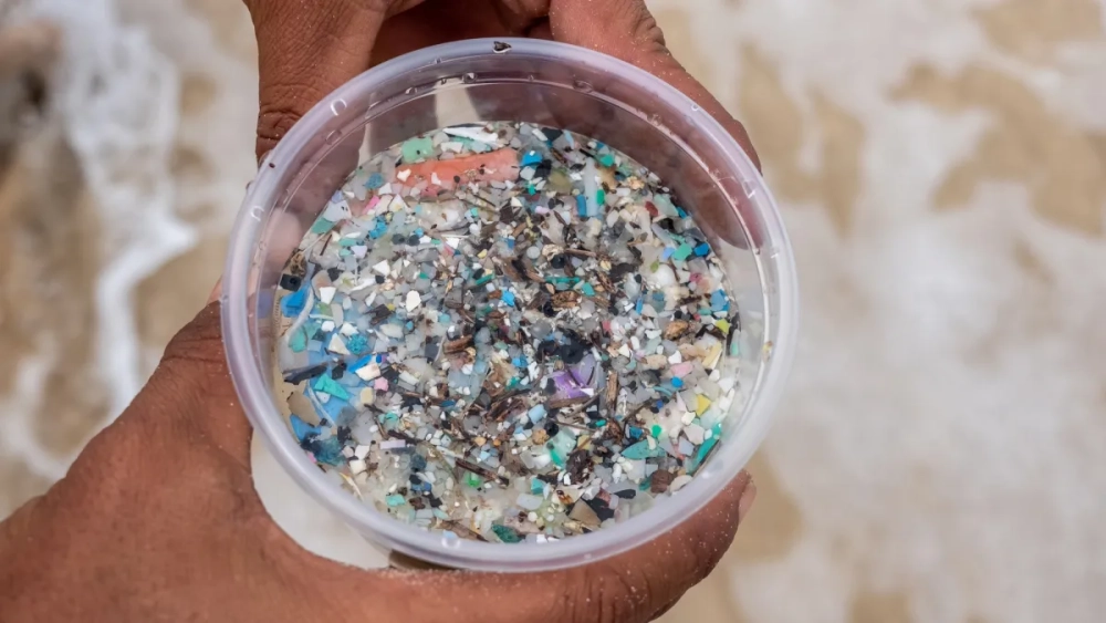 Vi nhựa tác động môi trường theo nhiều cấp độ