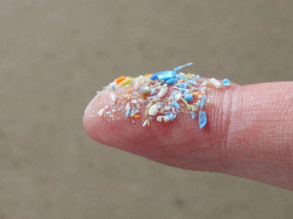 Vi nhựa và sự thật phía sau thói quen sinh hoạt hiện đại